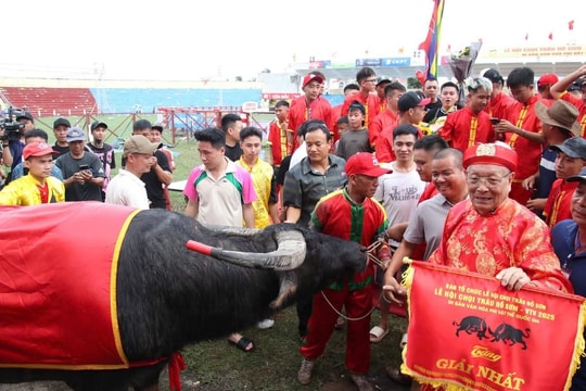 Cụ ông 91 tuổi 3 lần có trâu vô địch Lễ hội chọi trâu Đồ Sơn