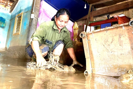 Bão chồng bão, Nghệ An lay lắt sau lũ