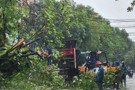Nghệ An thiệt hại nặng sau bão số 10