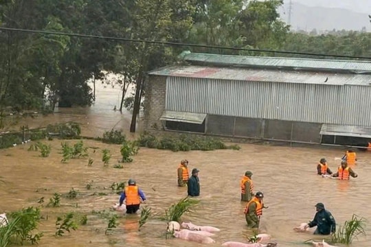 Bộ Y tế chỉ đạo ứng phó dịch bệnh sau bão số 10
