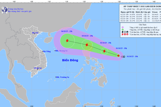 Nhiều nguy cơ với áp thấp nhiệt đới khi đất đã bão hòa