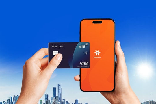 VIB và Visa ra mắt gói giải pháp tài chính linh hoạt