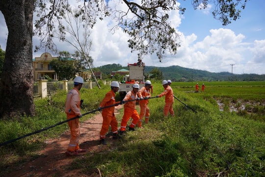 Tổng Công ty Điện lực miền Bắc: 56 năm một chặng đường đầy tự hào