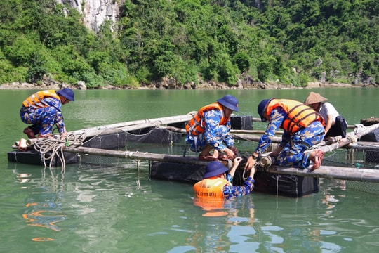 Hải Phòng: Theo dõi chặt chẽ diễn biến bão Matmo, tuyệt đối không chủ quan