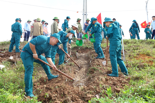 Siết chặt an toàn đê điều, chủ động ứng phó bão số 11 và mưa lũ lớn
