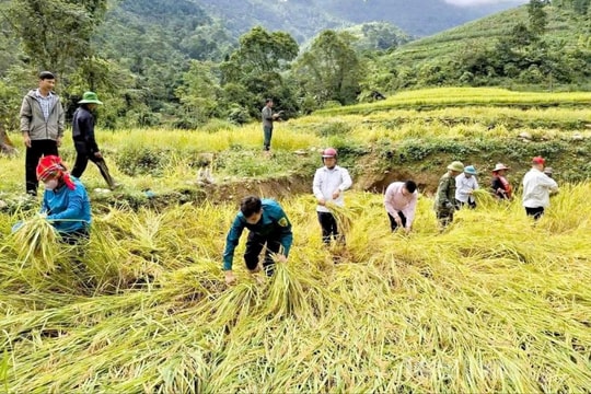 Tuyên Quang khẩn trương khôi phục sản xuất sau bão số 10