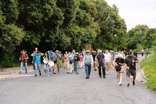 Sơn Trà hút khách quốc tế sau khi mở lại các tuyến tham quan