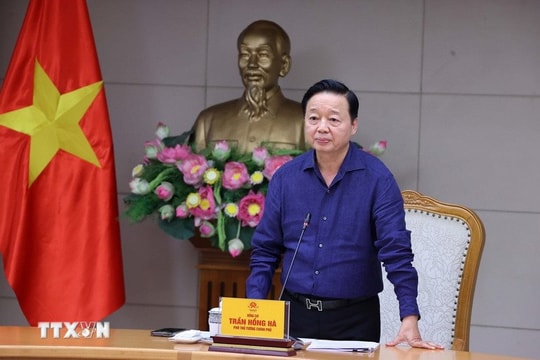 Ứng phó “bão chồng bão”: Phó Thủ tướng yêu cầu chuẩn bị kịch bản xấu nhất