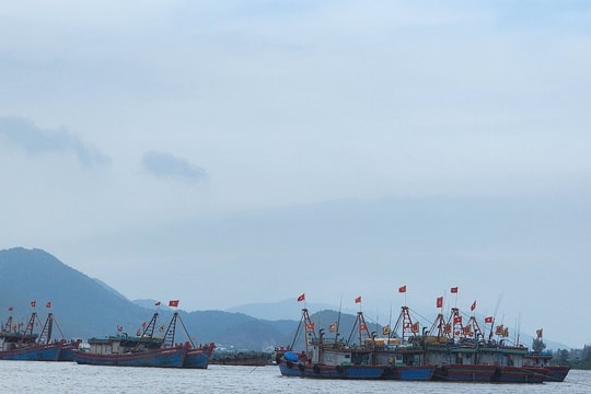 Nghệ An cấm tàu thuyền ra khơi để phòng tránh bão số 11