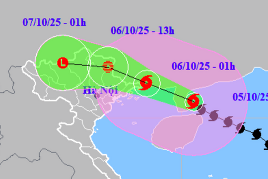 Thủ tướng chỉ đạo chủ động ứng phó mưa lũ, lũ quét, sạt lở đất do ảnh hưởng bão số 11