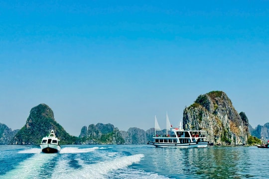 Quảng Ninh kiểm soát chặt hoạt động khai thác thủy sản