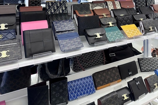 Đà Nẵng: Nhiều tổ chức, cá nhân vi phạm sở hữu công nghiệp