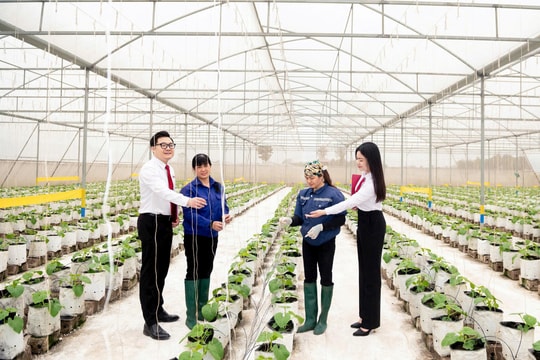 Agribank tăng cường dư địa mạng lưới cho phát triển "tam nông"