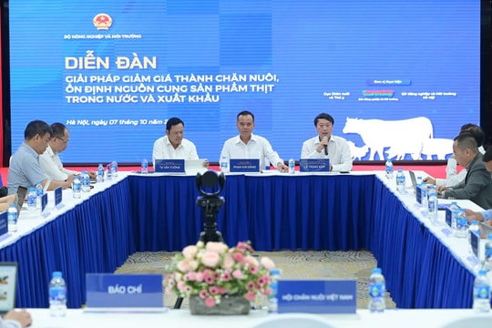 Tìm giải pháp giảm giá thành chăn nuôi