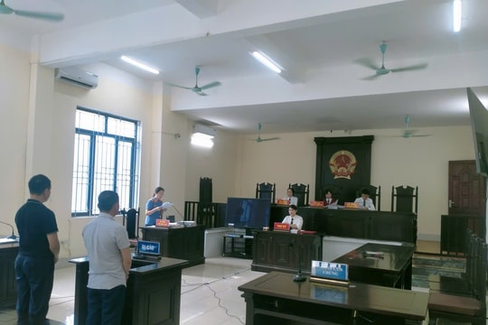 Lai Châu: Hai bị cáo lĩnh án vì vi phạm quy định an toàn điện lực