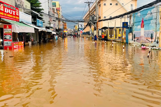 Cần Thơ: Người dân "vật lộn" khi triều cường gây ngập sâu