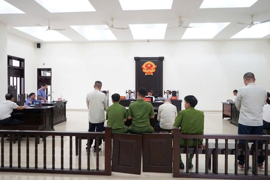 Khi ly trà sữa trở thành khởi đầu của bi kịch giao thông