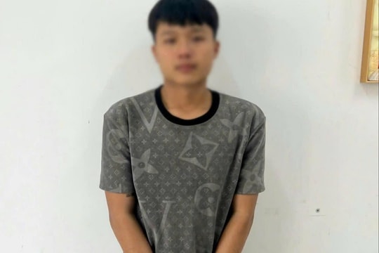 Công an Gia Lai bắt giữ đối tượng bị truy nã