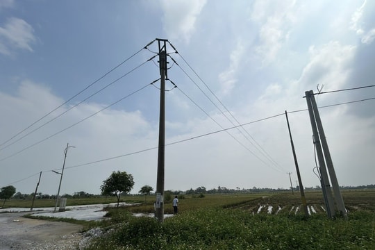 Thanh Hóa: Loay hoay xử lý việc đấu giá, cấp sổ hồng cho dân dưới đường điện