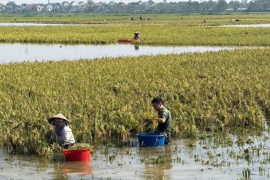 Lực lượng Công an hỗ trợ nhân dân bị ảnh hưởng do mưa lũ