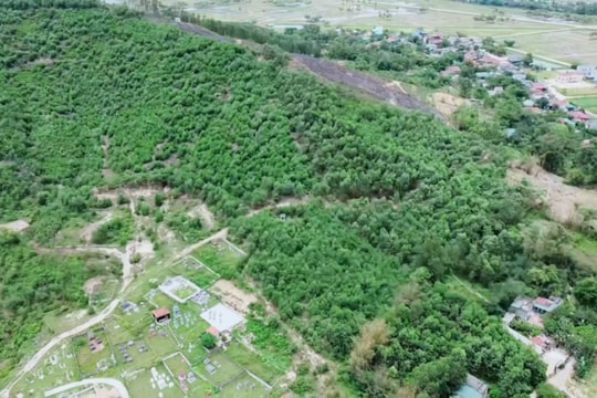 Khẩn trương rà soát hiện trạng đất đai có nguồn gốc nông, lâm trường trước 25/10