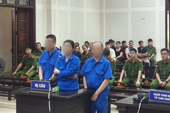 Bản tin pháp đình: Xét xử nhóm buôn bán gần 31.000 bao thuốc lá nhập lậu