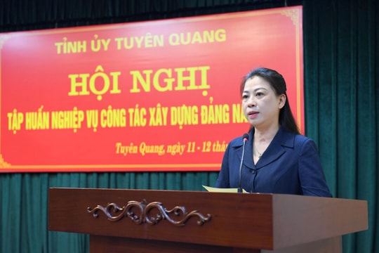 Tuyên Quang tập huấn nghiệp vụ công tác xây dựng Đảng
