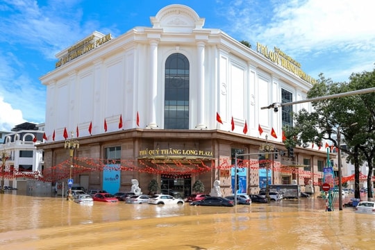 Bảo hiểm ước bồi thường 1.674 tỷ cho khách hàng bị thiệt hại do bão số 10 và 11