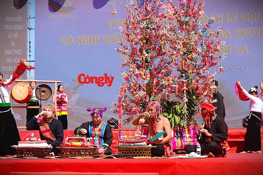 Lễ hội Hết Chá 'cầu mưa thuận gió hòa' của người Thái