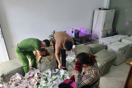 Triệt phá đường dây buôn bán hàng giả nhãn hiệu thể thao quy mô lớn