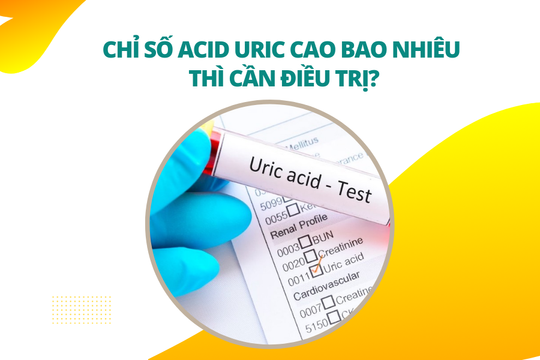 Chỉ số Acid uric cao bao nhiêu thì cần điều trị?