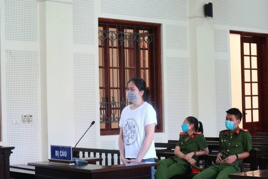 Những “bông hoa rừng” lạc lối