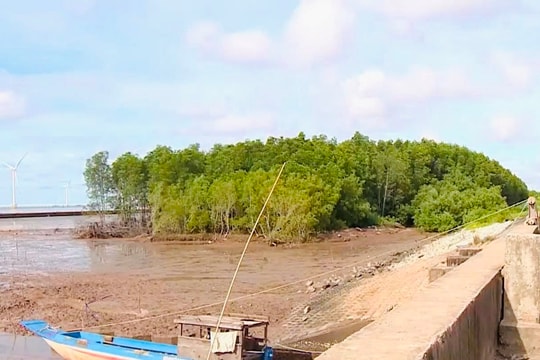 Cần Thơ công bố tình huống khẩn cấp do sạt lở bờ biển