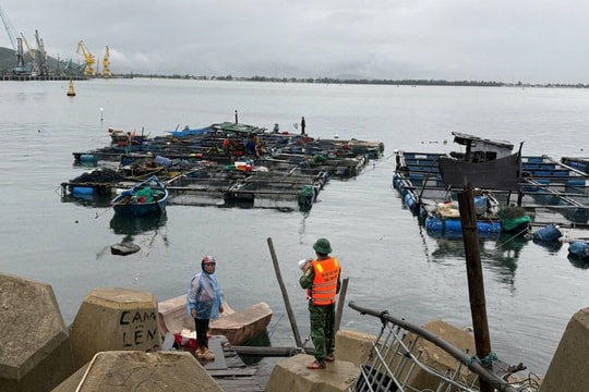 Không chia sẻ thông tin không chính thống về “bão số 12”