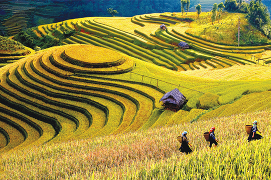 Xây dựng chương trình mục tiêu quốc gia mới