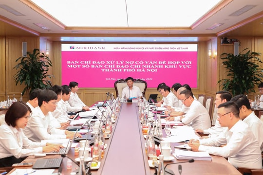 Agribank tiếp tục đồng bộ các giải pháp để hoàn thành xử lý nợ