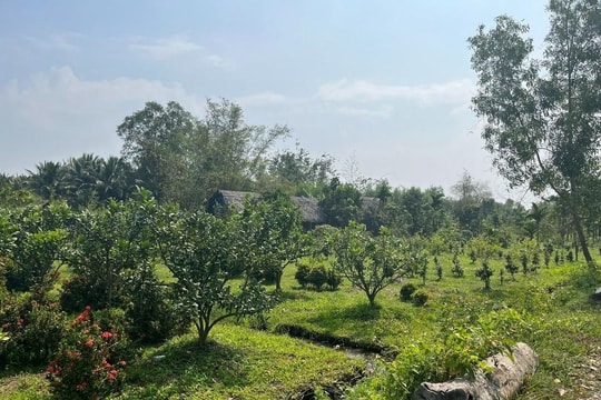 Niềm tin Công lý: Công lý không có vùng cấm