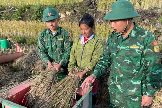 “Máy tuốt lúa” của Bộ đội Biên phòng Vàng Ma Chải: Việc làm nhỏ, ý nghĩa lớn