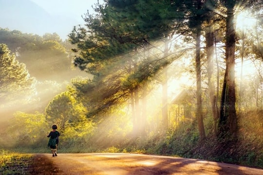 Thời tiết hôm nay 17/10: Bắc Bộ nắng, Trung Bộ và Nam Bộ mưa dông