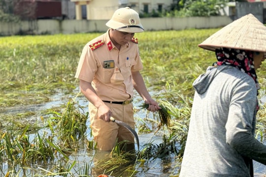 Nước lũ rút để lại khung cảnh ngổn ngang ven đô Hà Nội