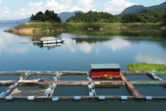 Người đàn ông mất tích khi ra uống bia tại nhà bè trên hồ