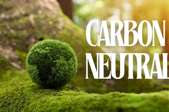 Cộng đồng doanh nghiệp tham gia tích cực vào trung hòa carbon