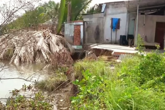 Tây Ninh: Sạt lở bờ sông Kênh Hàn nghiêm trọng