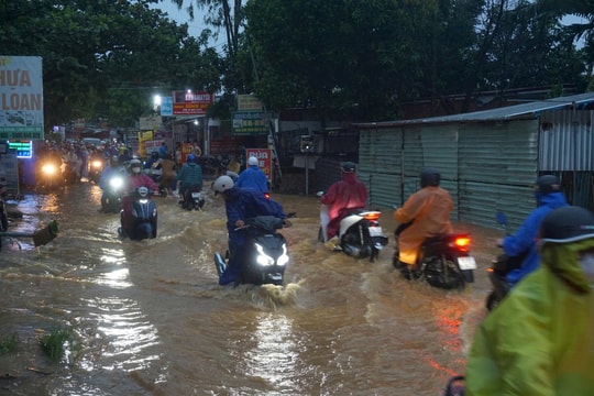 Đà Nẵng huy động 300 xuồng cứu hộ, chuẩn bị ứng phó đợt mưa lớn