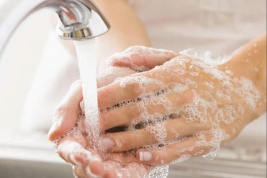 Tăng cường phòng, chống bệnh tả, chủ động giám sát dịch từ cộng đồng đến cửa khẩu