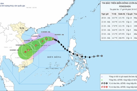 Thủ tướng yêu cầu chủ động ứng phó bão số 12 và mưa lũ