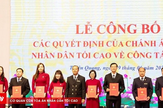 Những người phụ nữ thắp sáng công lý bằng bản lĩnh và trái tim nhân ái