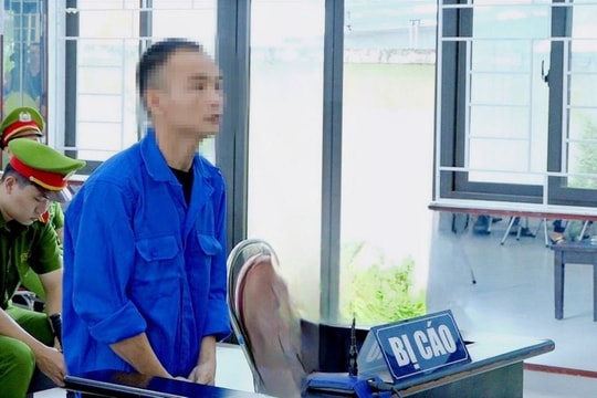 Lời xin lỗi… gió bay