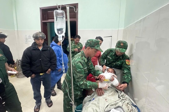 Trưởng thôn ở Đà Nẵng bị gấu rừng tấn công