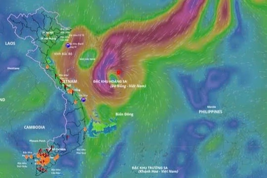 Cà Mau: Chủ động ứng phó bão số 12
